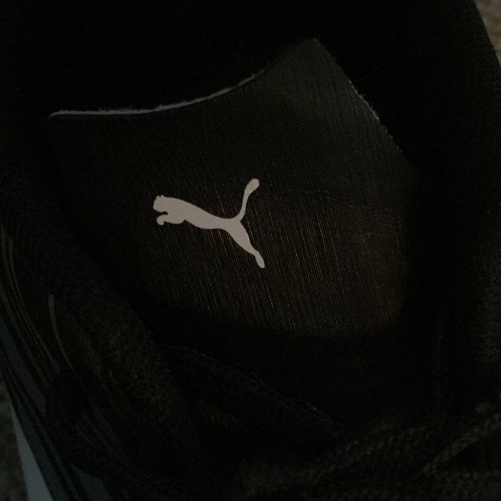 Pumas - Picture 2 of 7